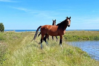 4 persoons vakantie huis in BORGHOLM