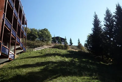 Duplex für 5 Personen im Dorf Charmettoger in...