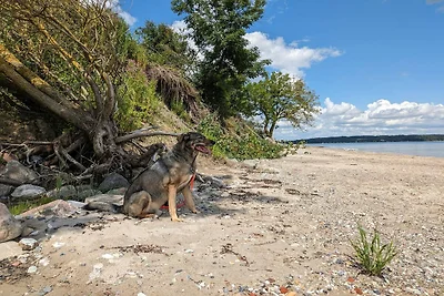 Renoviertes Strandhaus -- By Traum...