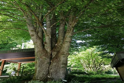 Les Rainettes – Rustig familiehuis met tuin e...