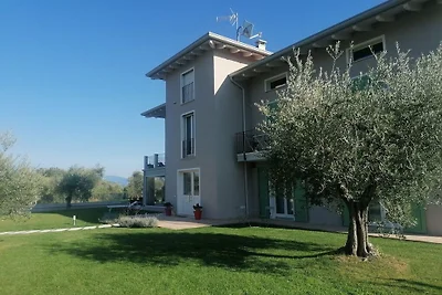 Sunflower Apartment