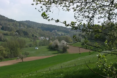 Dom Pasterza Wallbach