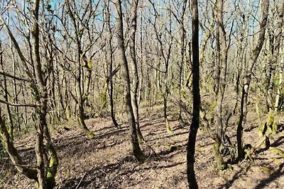 6 persoons vakantie huis in Brovst