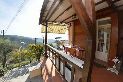 Schönes Ferienhaus mit Swimmingpool in...