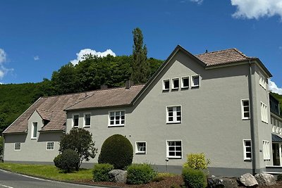 Komfortables großes Ferienhaus im Eifel mit...