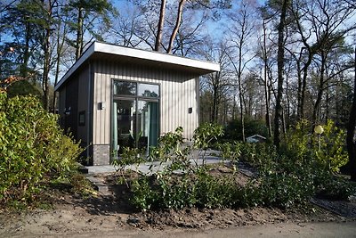 Tiny house met een sfeerhaard nabij de Veluwe