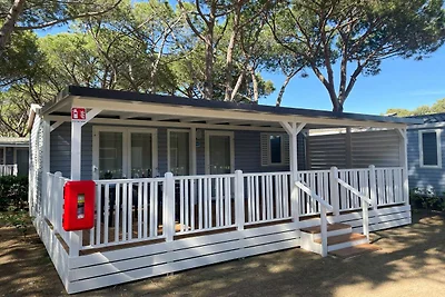 Mobilhome im Ferienpark mit grosser...