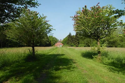 Landhaustraum unter Reet