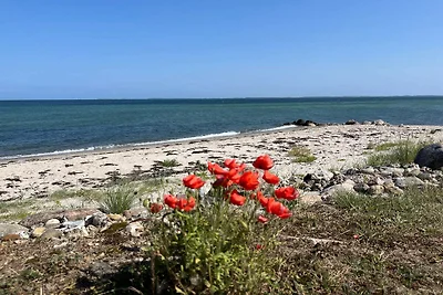 Ritiro di lusso vicino a Hasmark -- By Traum...