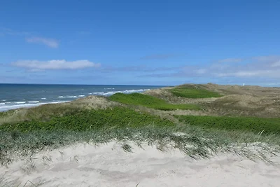18 Personen Ferienhaus in Ringkøbing