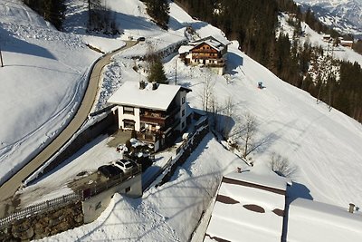 Ferienwohnung in Skigebietsnähe