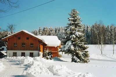 Schönes Ferienhaus in Viechtach in Waldnähe