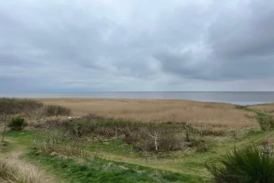 4 persone case ad Skjern