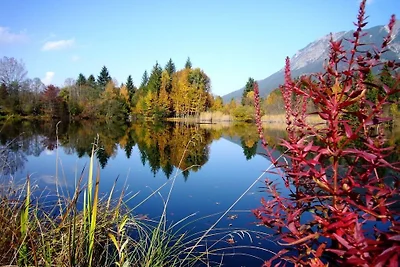 Alpenflair Ferienwohnung 228