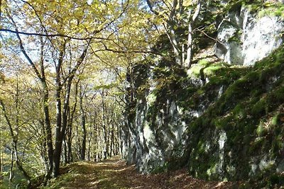 Eenzame berghut aan de rand van het bos