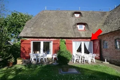 Ferienhaus in Borgsum mit Schwimmbecken