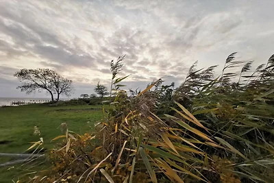 6 Personen Ferienhaus in Ebberup-By Traum
