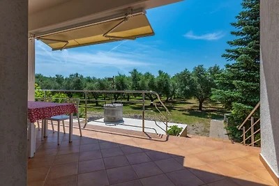 Villa Olive Ranch