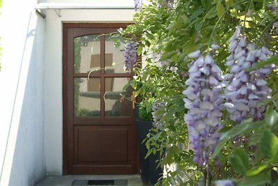 “Spitzhausblick” in Haus Felix