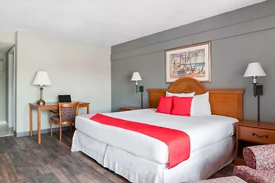 Silver Springs FL | Letto king size