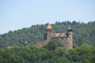 Huis op Kirchberg in de Vita-tuin