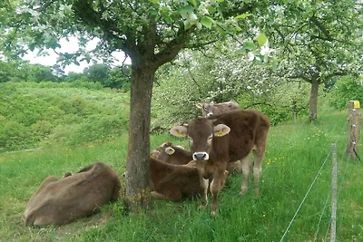 Kuća za odmor Dopust za oporavak Überlingen