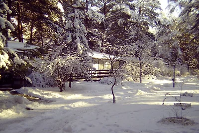 Ferienhaus mit 1 Schlafzimmer