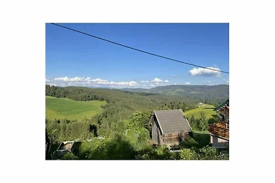 La capanna di montagna di Andi