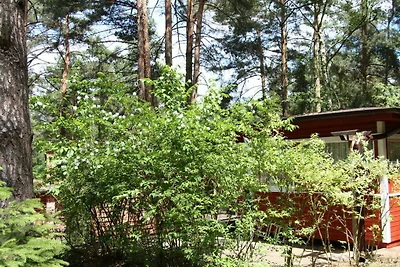 Haus am Kolberg Komfortable Ferienresidenz