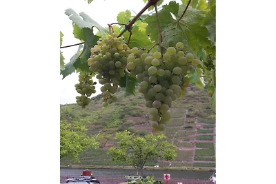 At the Konzen-Dehren 2 winery