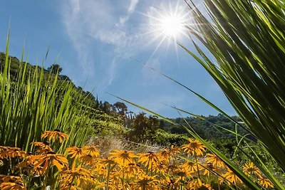 Appartamento per vacanze a Merano con piscina
