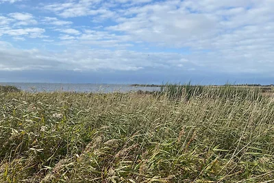 10 Personen Ferienhaus in Skjern-By Traum