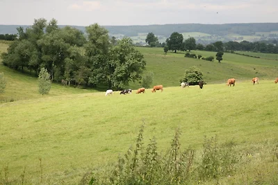 Ferienhaus in Houffalize mit Garten