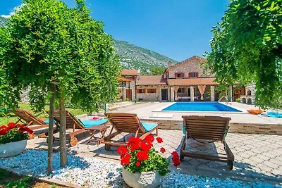 Villa in Drivenik mit Schwimmbecken