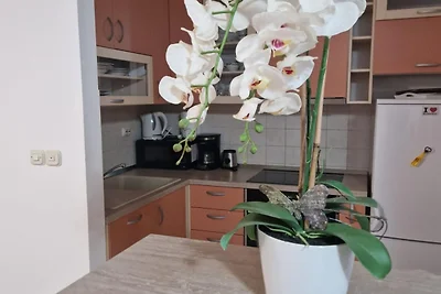 Apartment Antonia Trogir - Two-Bedroom Apartm...