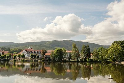 Appartement in Ilsenburg bij het skigebied