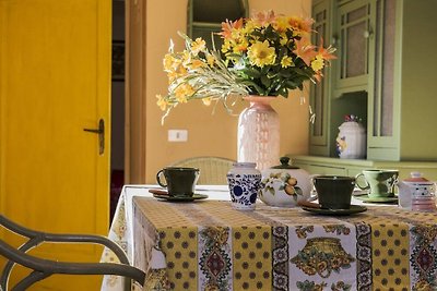 Ferienhaus mit Schwimmbad in Nationalpark