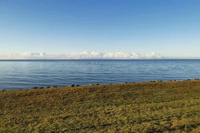 4 stelle case ad Dannemare