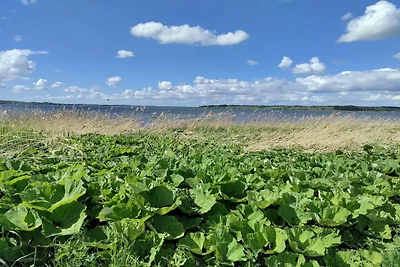 8 Personen Ferienhaus in Løgstrup-By Traum