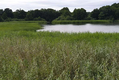 6 Personen Ferienhaus in Ebeltoft