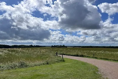 4 persoons vakantie huis in Skærbæk-By Traum