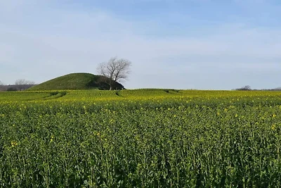 4 Personen Ferienhaus in Martofte