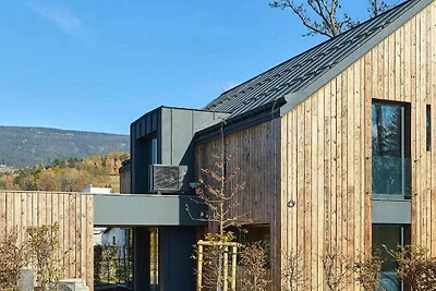Villa+pool in Cerny Dul KCMC116