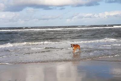 Luxus-Ruckzug in Romo -- By Traum...