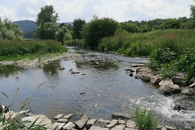 Ruim vakantiehuis in Liesen met speelhal