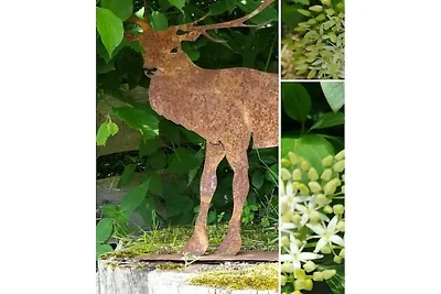 Ferienwohnung mit 1 Schlafzimmer