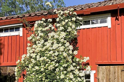4 Personen Ferienhaus in BJÖRKÖ-By Traum