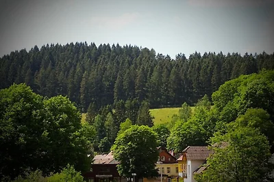 Ferienhaus Erholungsurlaub Clausthal-Zellerfeld