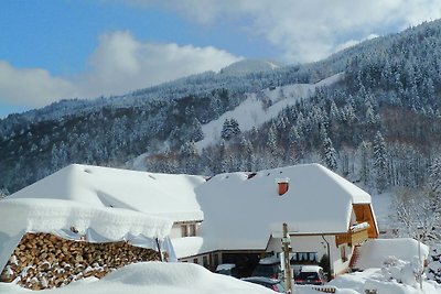 Appartement in Brandenberg met terras