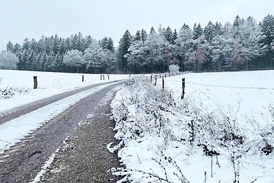 Ferienhaus in Javorník nahe dem Skigebiet